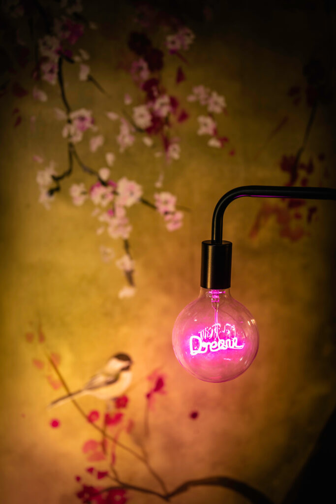 A pink bulb with the letters 'dream' with a dark flowered background.