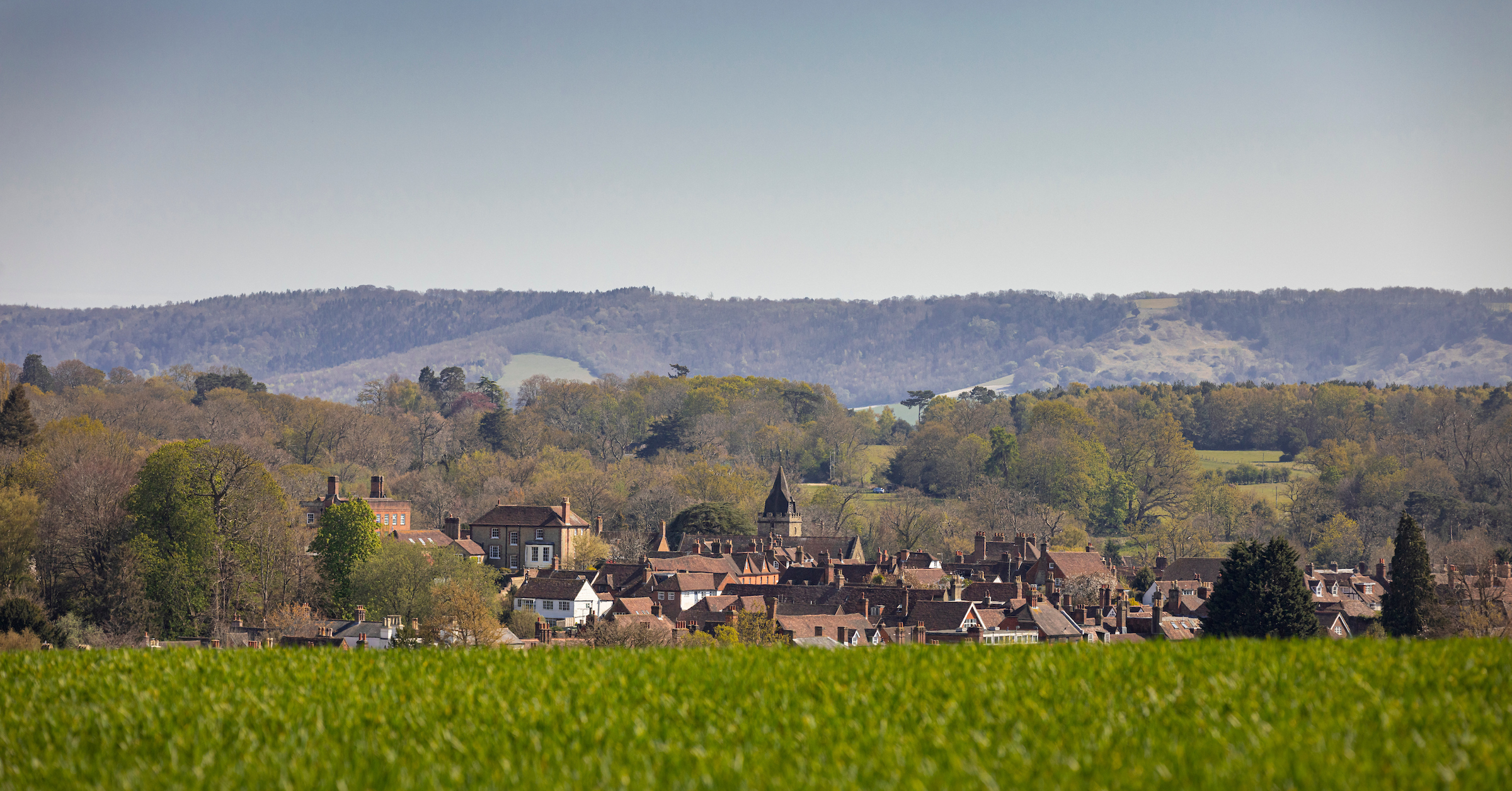 Midhurst town viewed from green field with South Downs and trees surrounding.