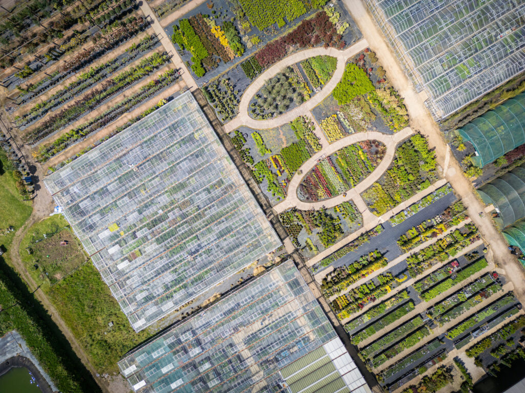 An aerial view of Rotherhill Nurseries and Garden Centre in Midhurst, West Sussex showing a vibrant range of plants and large greenhouses.