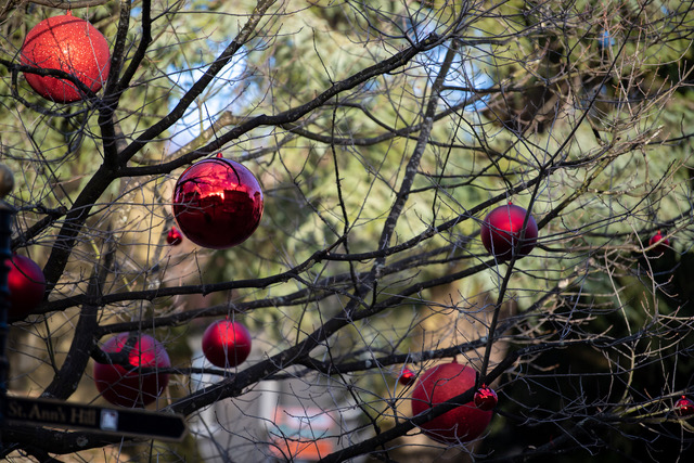 Christmas baubles in tree 2019 small file